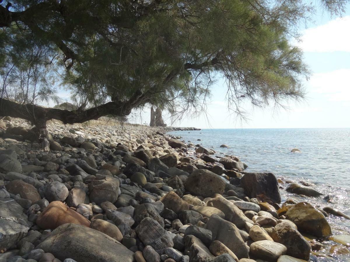 Il Vecchio Pescatore Bed & Breakfast *